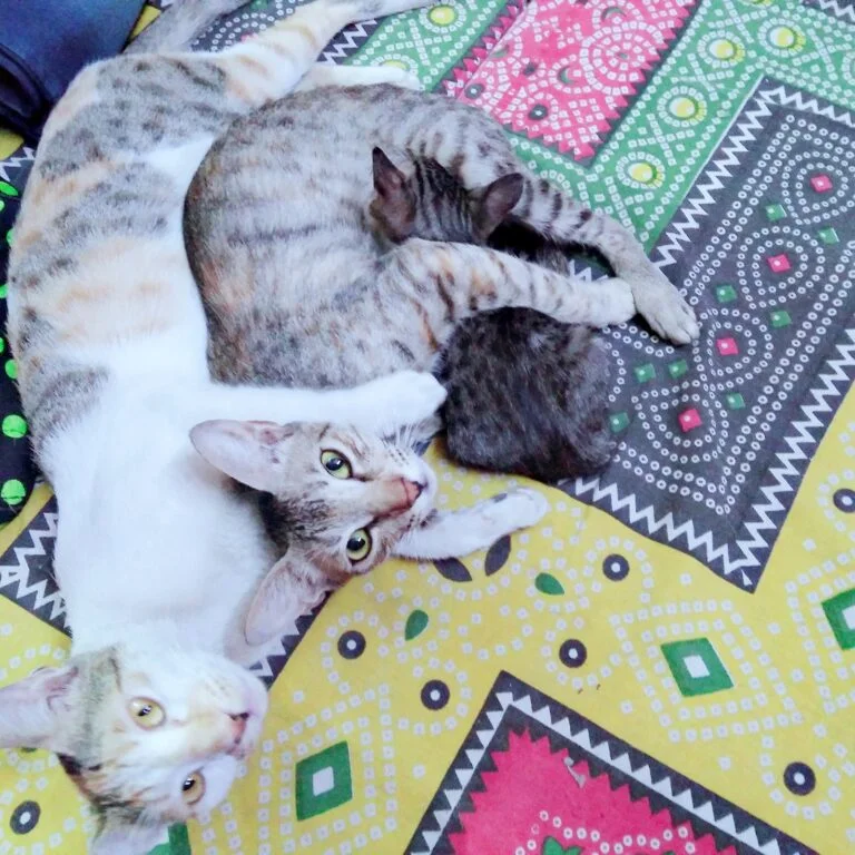 Chuna, uski behan aur uska bacha